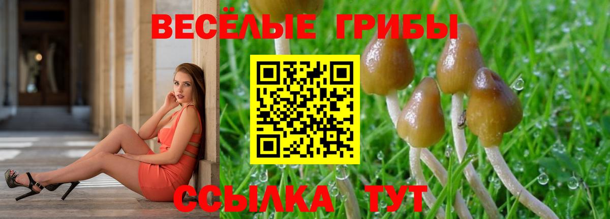 Псилоцибиновые грибы GOLDEN TEACHER  Вход с VPN  Южноуральск 